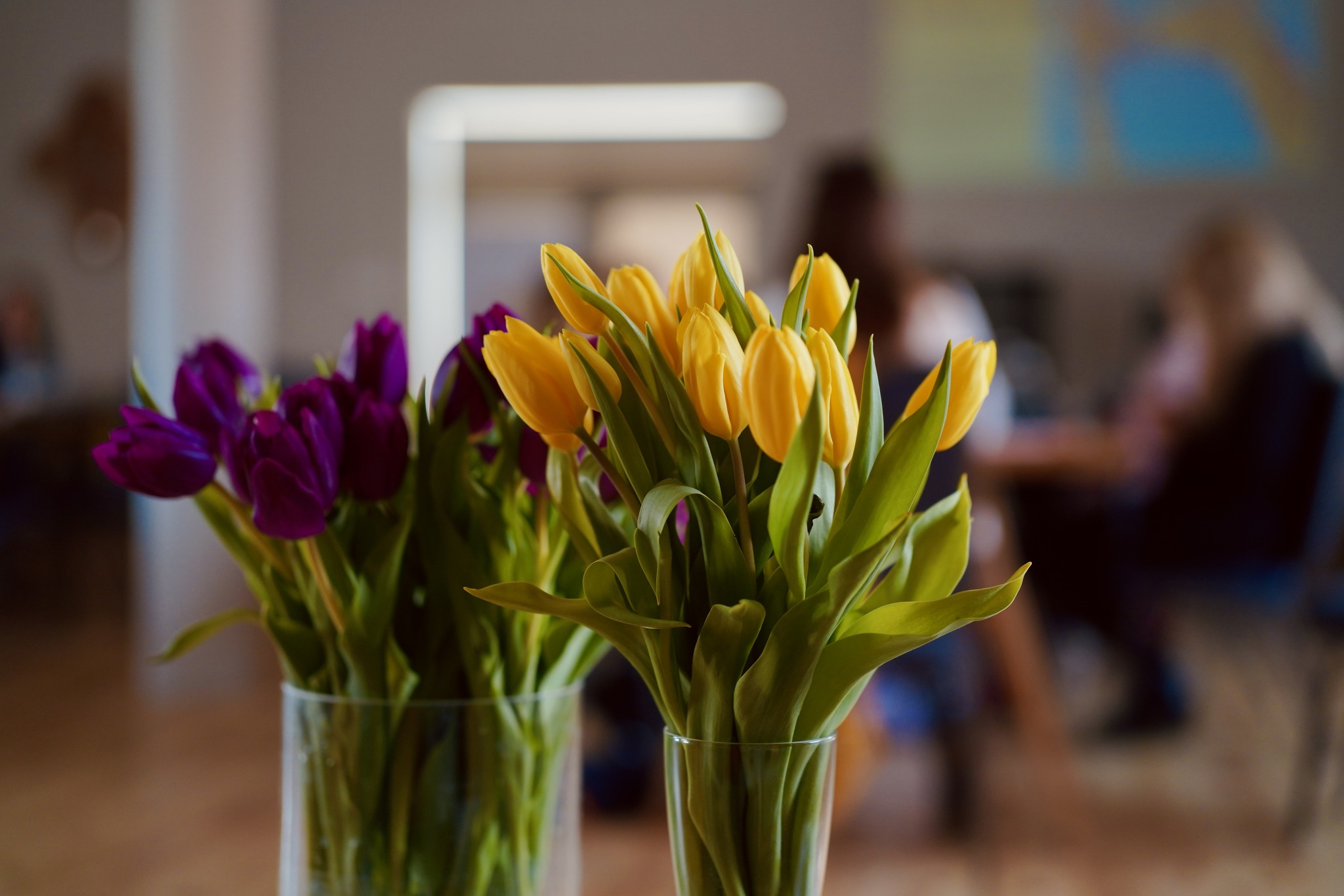 484457122_122238733586024044_1111944657406813131_n