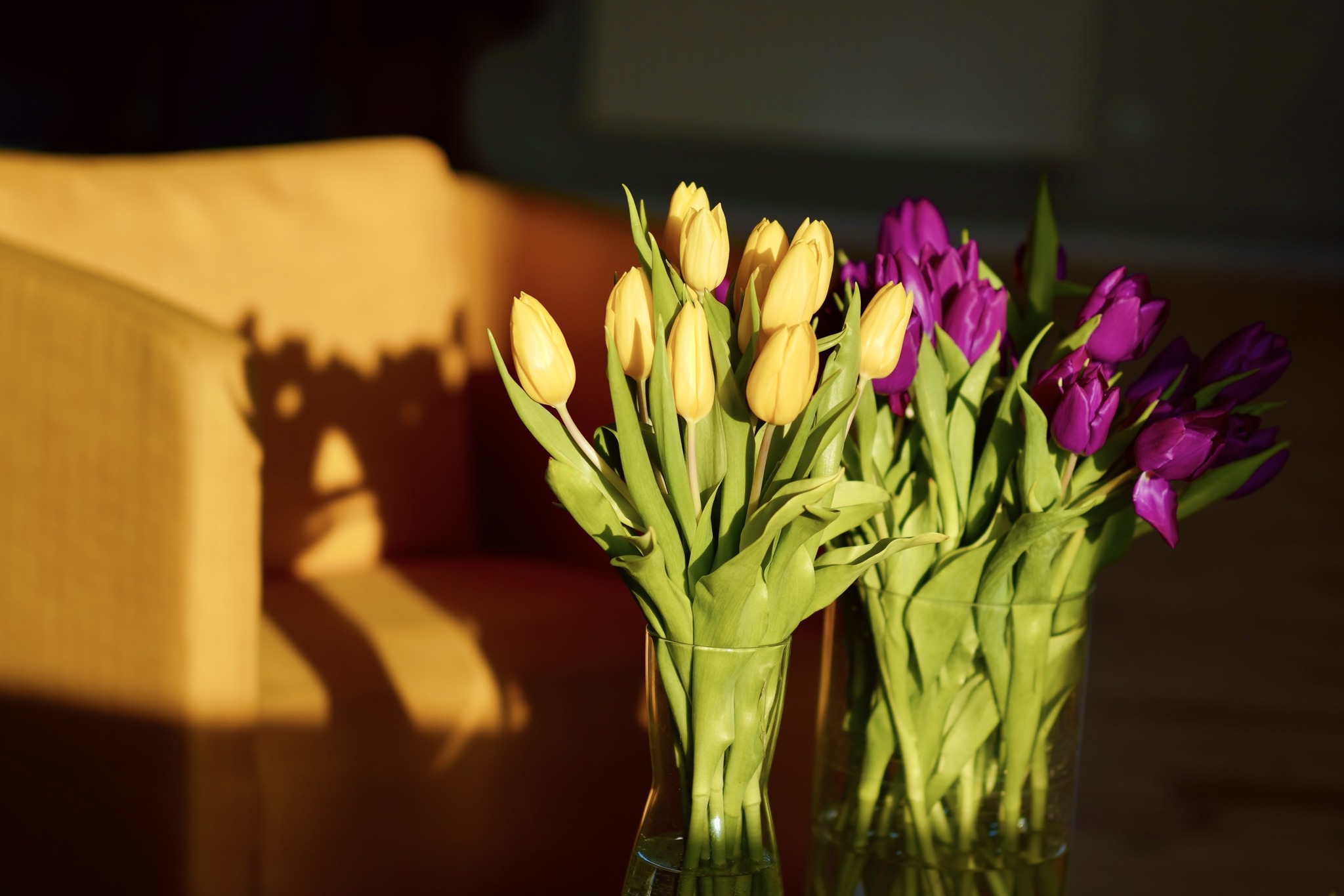 484490519_122238733304024044_1263121546611935904_n